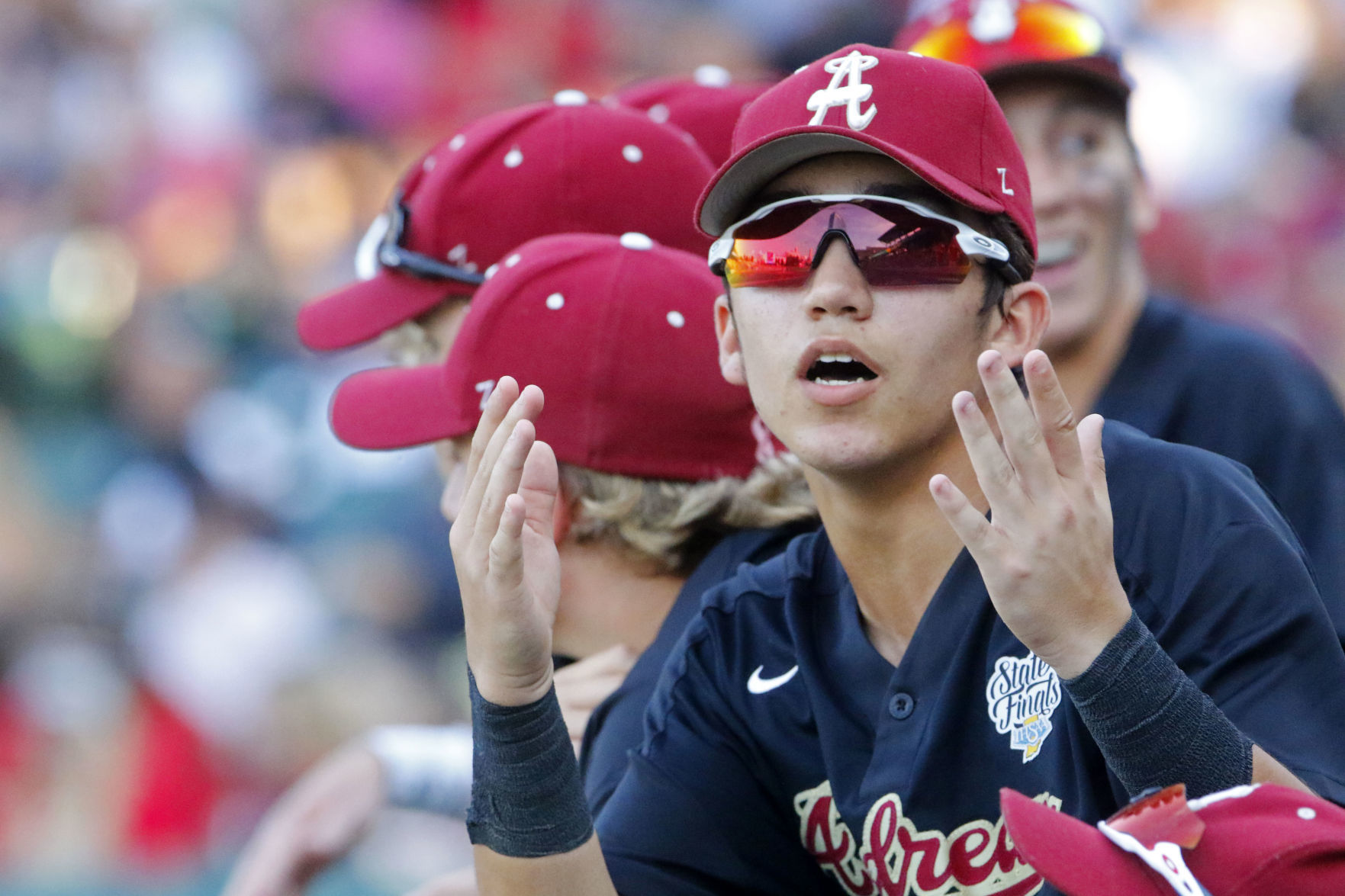 Class 3A baseball championship: Andrean vs. Edgewood